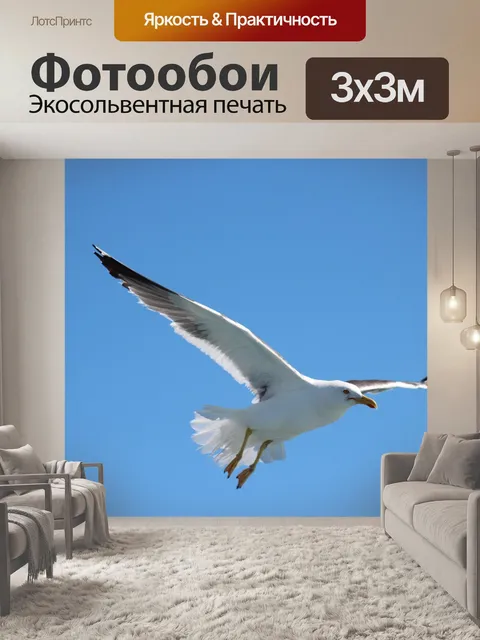 Фотообои Птица