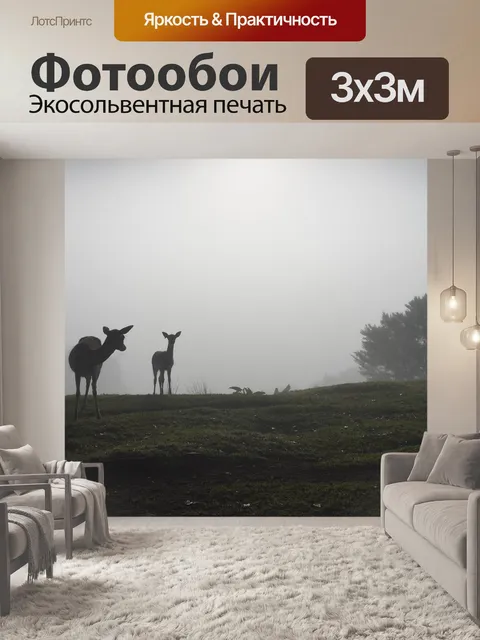 Фотообои Туманное утро