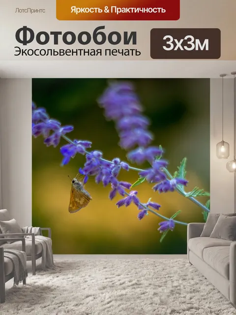Фотообои Бабочка