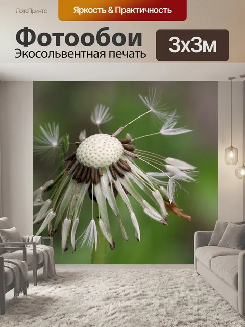 Фотообои Одуванчик