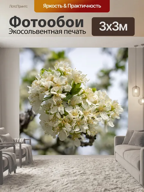 Фотообои Цветы