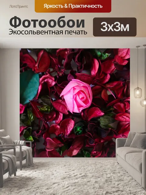 Фотообои Попурри
