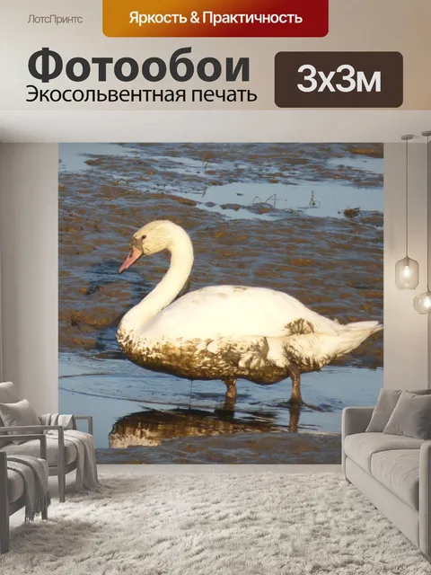 Фотообои Лебедь в грязи