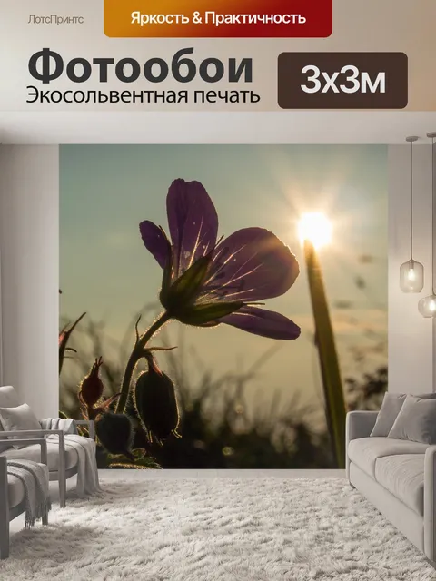 Фотообои Флора