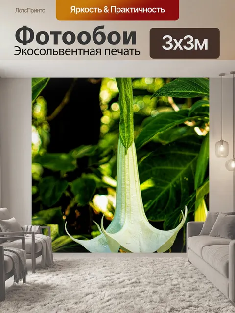 Фотообои Природа