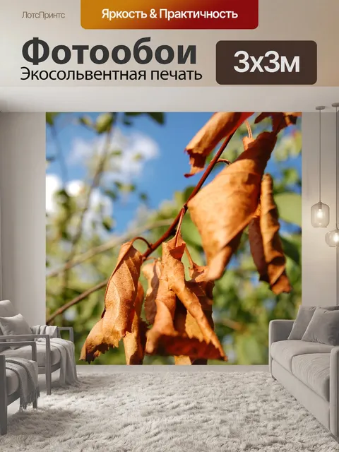Фотообои Листья