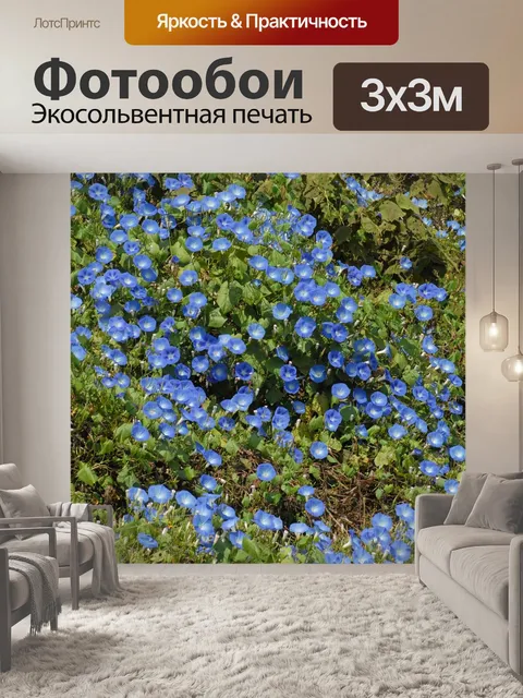 Фотообои Колокольчики синий