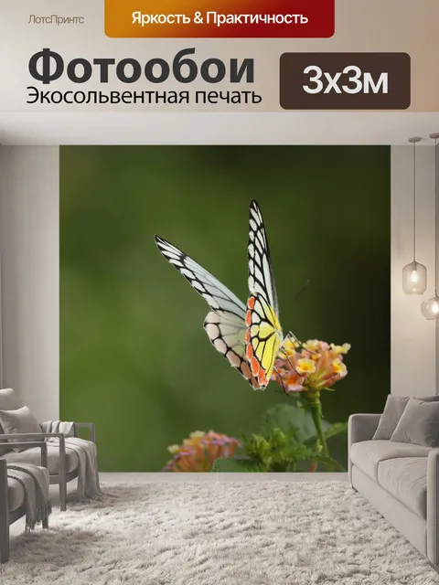Фотообои Бабочка