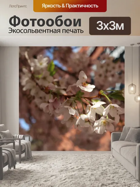 Фотообои Сакура