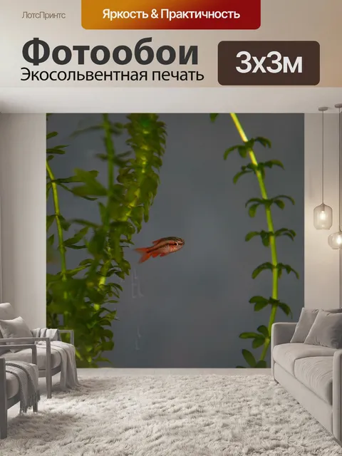 Фотообои Рыба