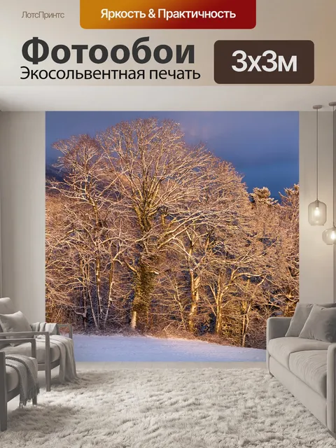 Фотообои Деревья