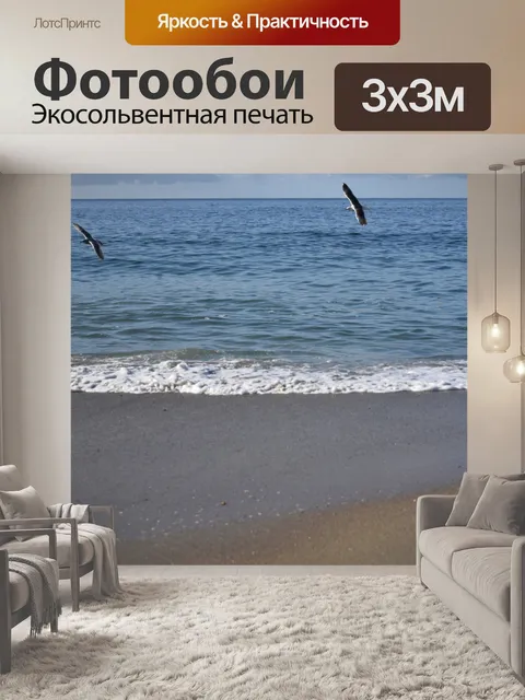Фотообои Полет двух чайков