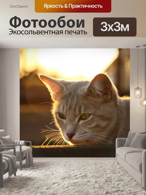 Фотообои Кот