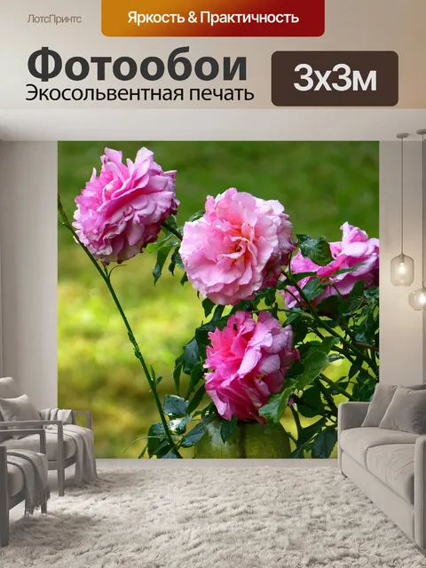 Фотообои Розы