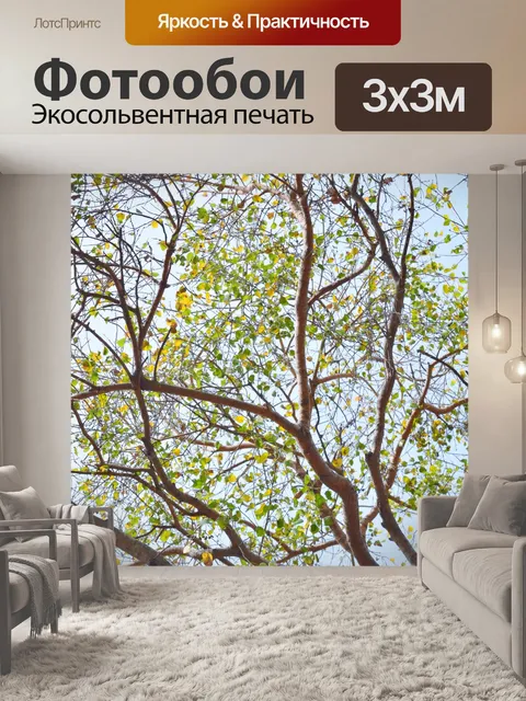 Фотообои Деревья и листья 60