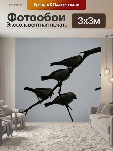 Фотообои четыре птицы на ветке