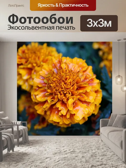 Фотообои Сад