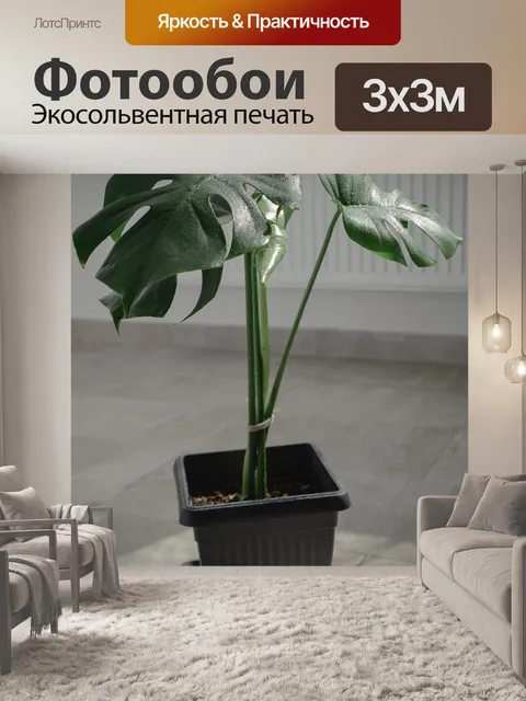 Фотообои Монстера