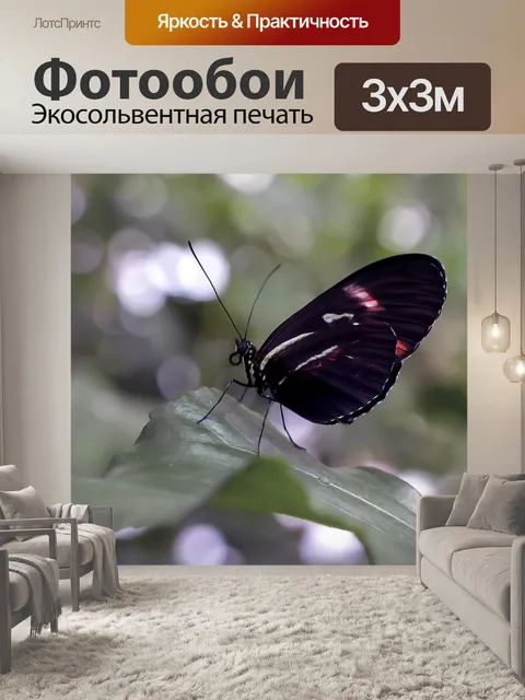 Фотообои Бабочка
