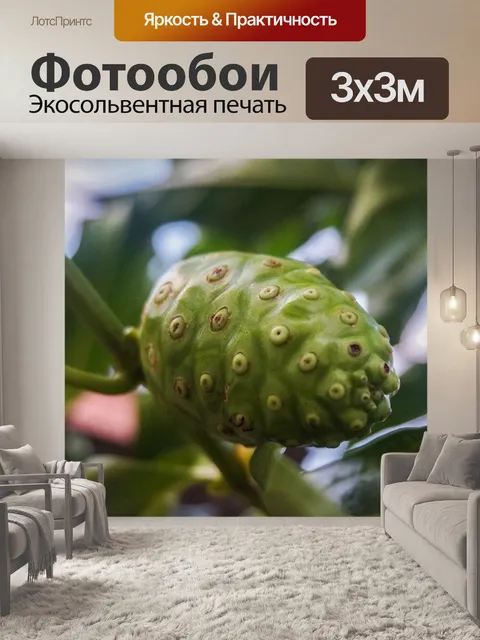 Фотообои Фрукты