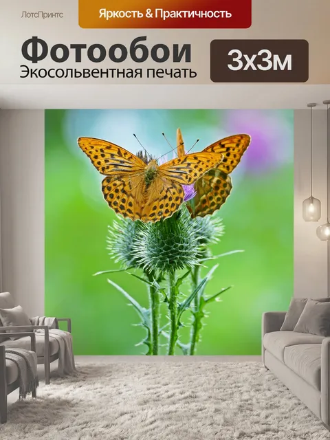 Фотообои Бабочки