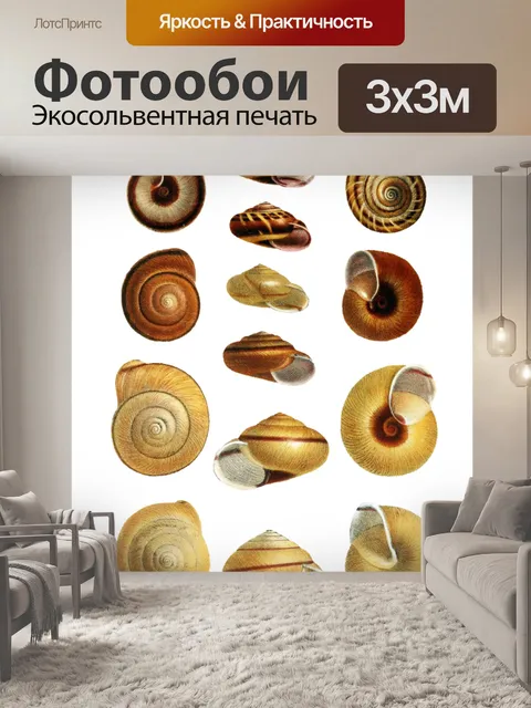 Фотообои Ракушка улитка винтажное искусство