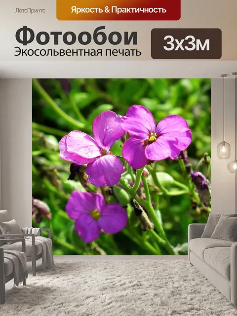 Фотообои Цветы