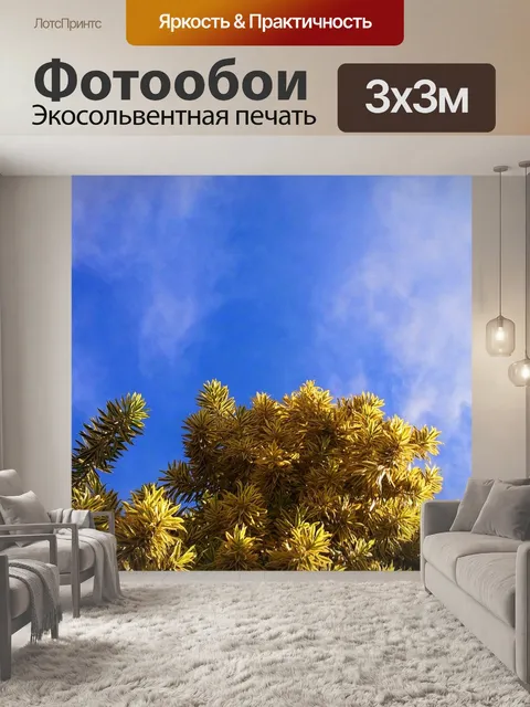 Фотообои Дерево