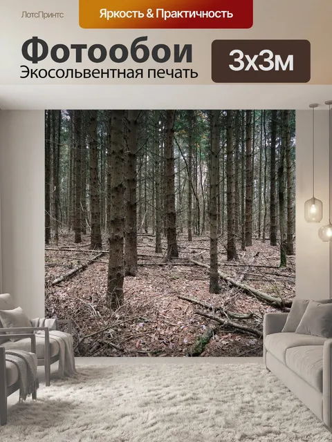 Фотообои Джунгли