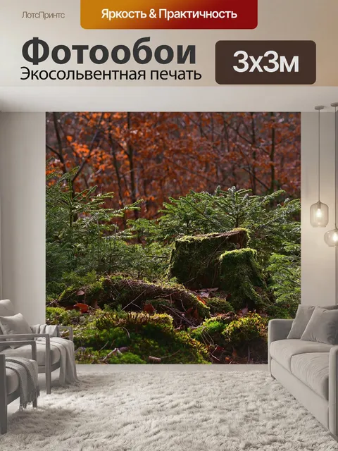 Фотообои Лес