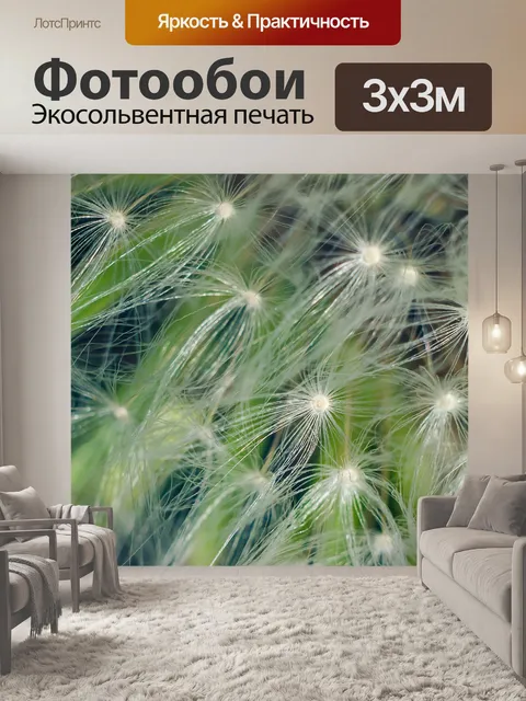 Фотообои Одуванчик