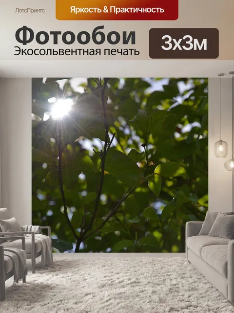 Фотообои Солнце
