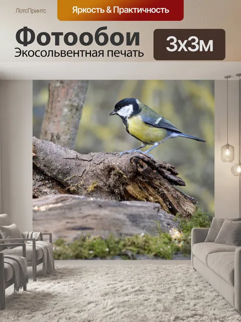 Фотообои Птица