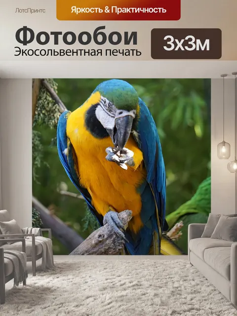 Фотообои Попугаи