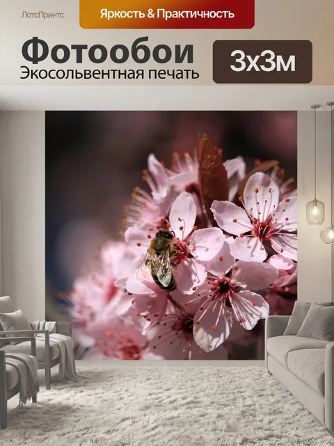 Фотообои Природа