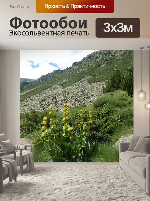 Фотообои Цветы