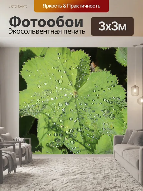 Фотообои Листья