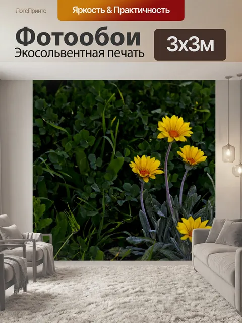 Фотообои Четыре желтые ромашки