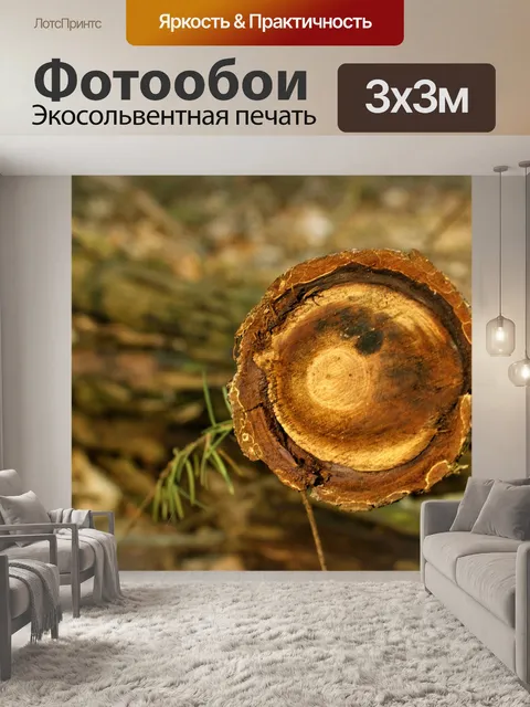 Фотообои Древесина