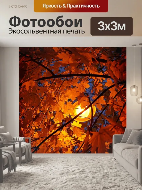 Фотообои Осень