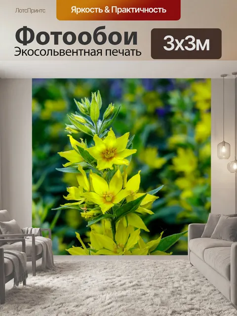 Фотообои Ботанический сад в Быдгоще