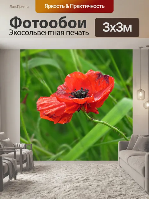 Фотообои Мак