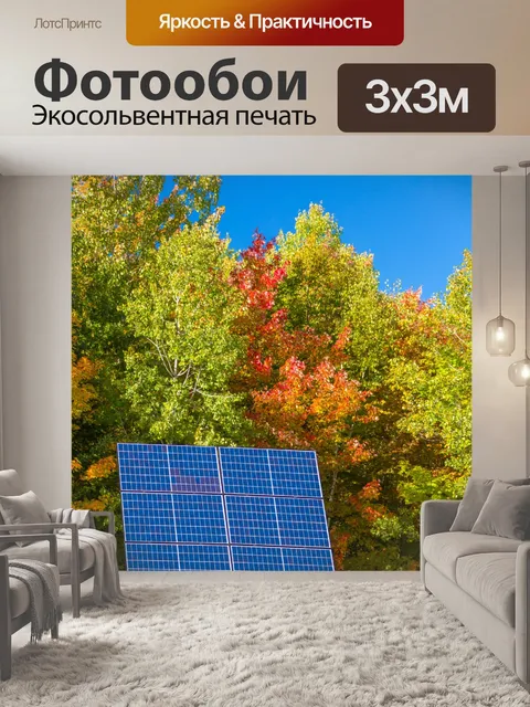 Фотообои Фотогальванические панели осенью
