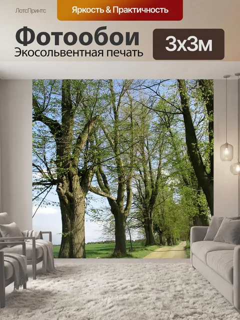 Фотообои Деревья