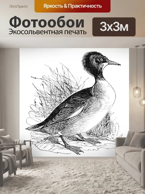 Фотообои Американский крохальщик