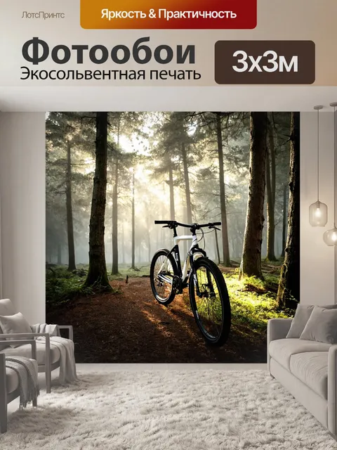 Фотообои велосипед чернобелый на фоне густого леса
