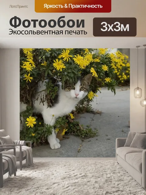 Фотообои Кошка