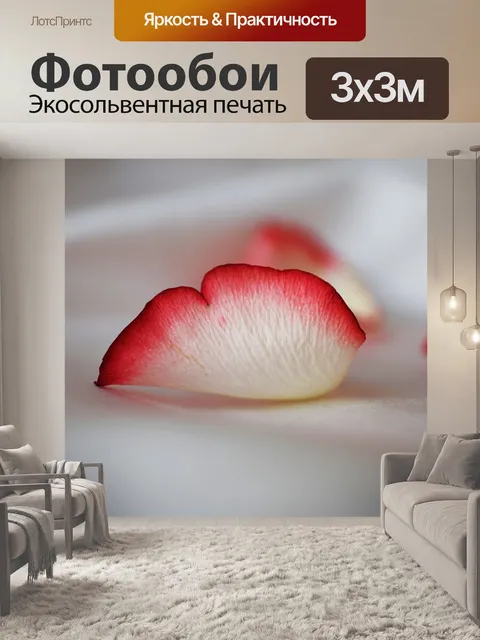Фотообои Роза