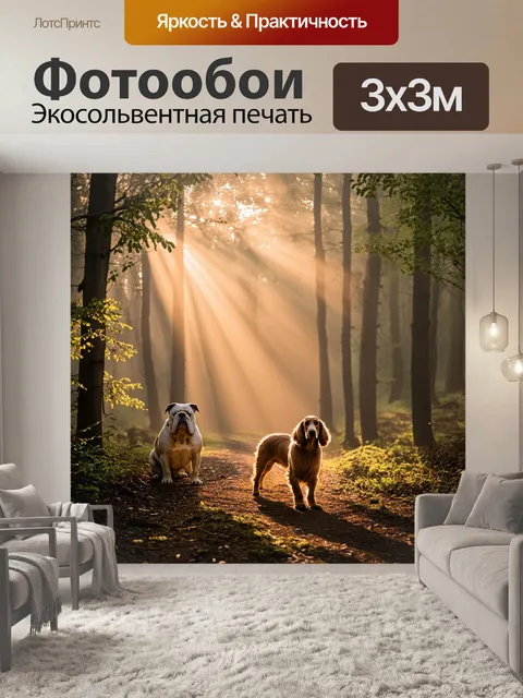 Фотообои в спокойном лесу, укрытом утренним туманом, бульдог и афон исследуют тропинки, усеянные листвой
