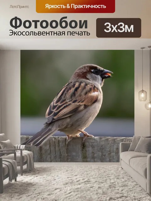 Фотообои Воробей